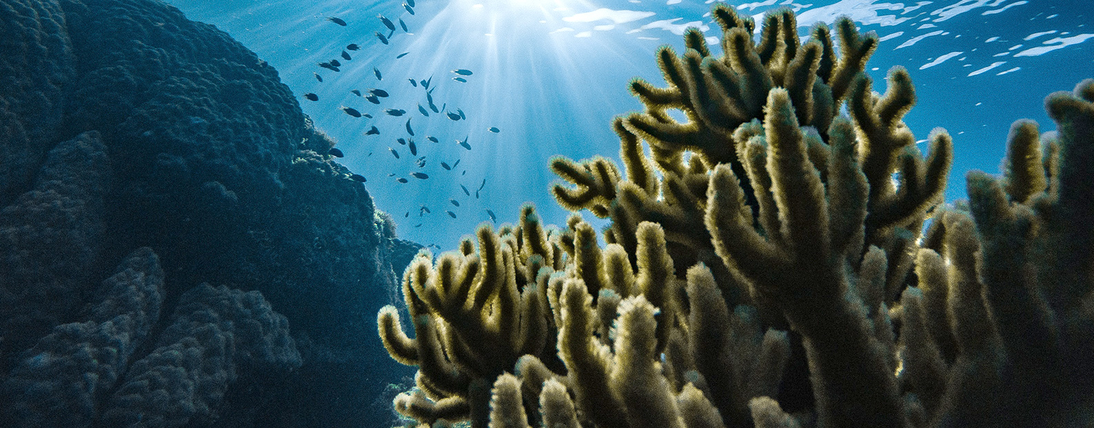 三達(dá)膜中水回用、陶瓷膜、石墨烯膜、黑金膜公眾號(hào)，歡迎您掃碼關(guān)注！